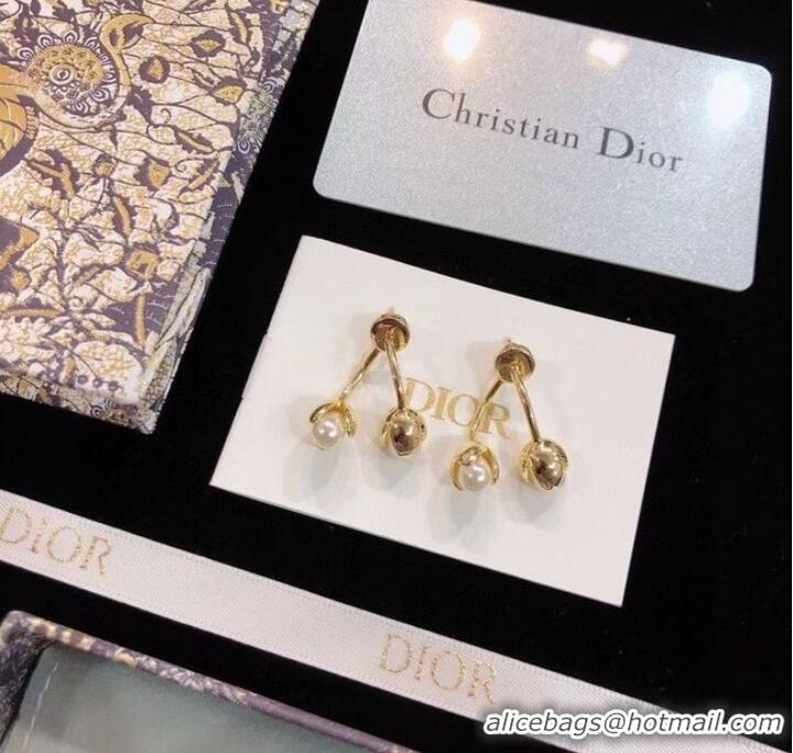 Specials Refined Dior Earrings CE9003