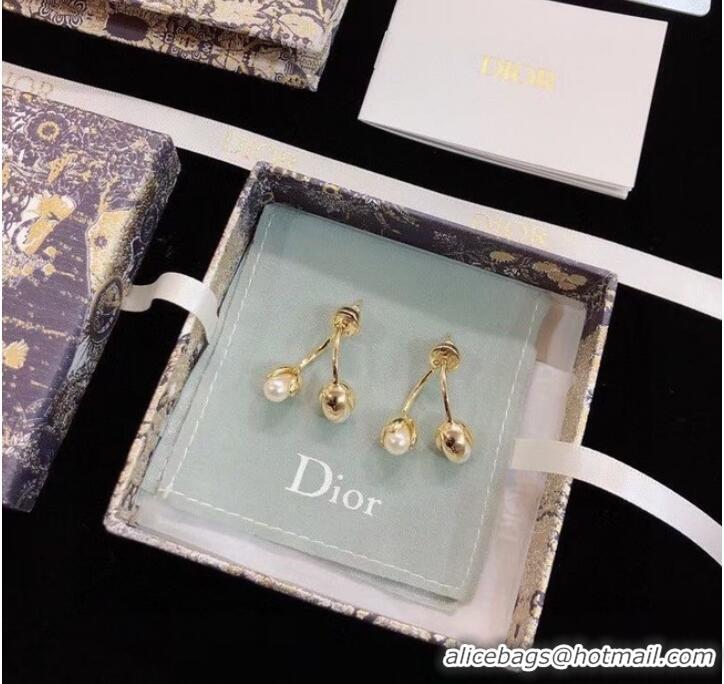 Specials Refined Dior Earrings CE9003