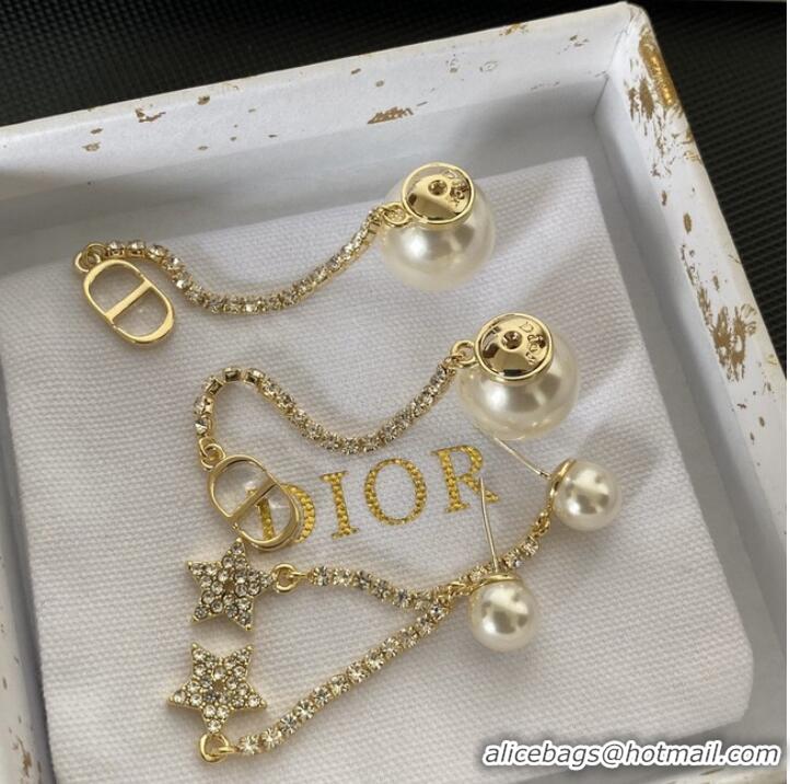 Good Looking Dior Earrings CE9095