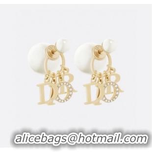 Buy New Cheap Dior Earrings CE9110