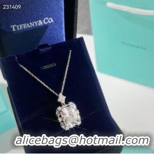 Duplicate TIFFANY Necklace CE7856