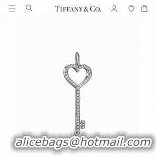 Classic Hot TIFFANY Necklace CE8060