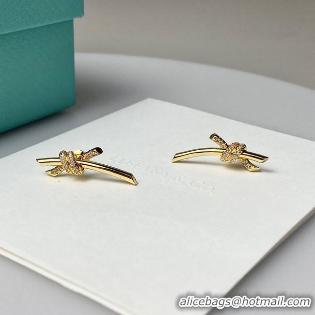 Youthful TIFFANY Earrings CE8106