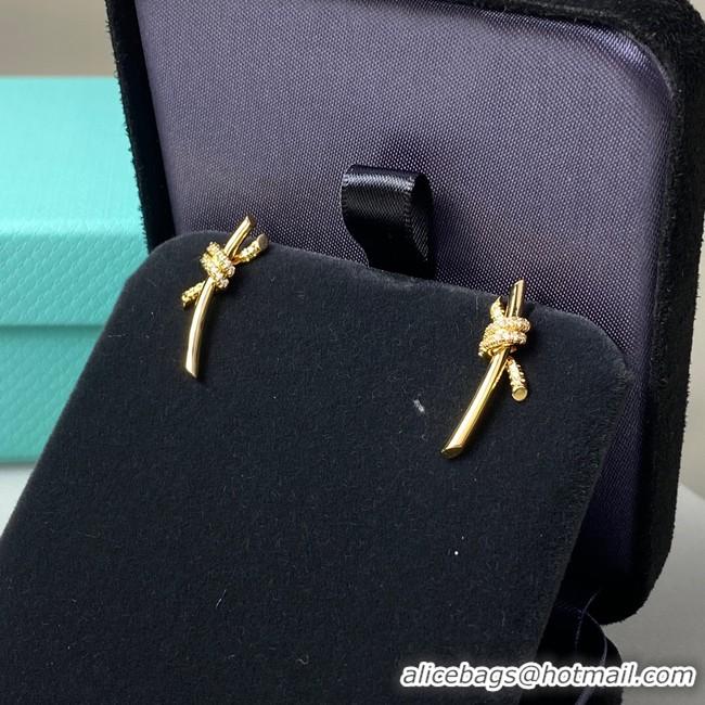 Youthful TIFFANY Earrings CE8106