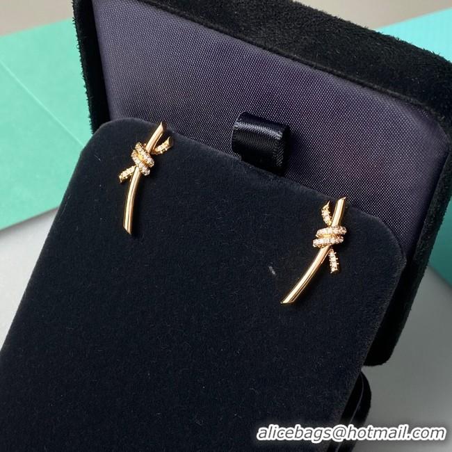 Youthful TIFFANY Earrings CE8106