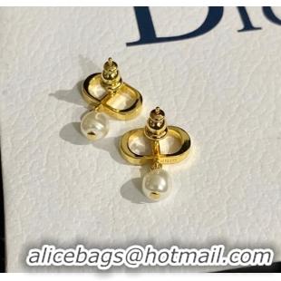 Spot Bulk Classic Dior Earrings CE9120