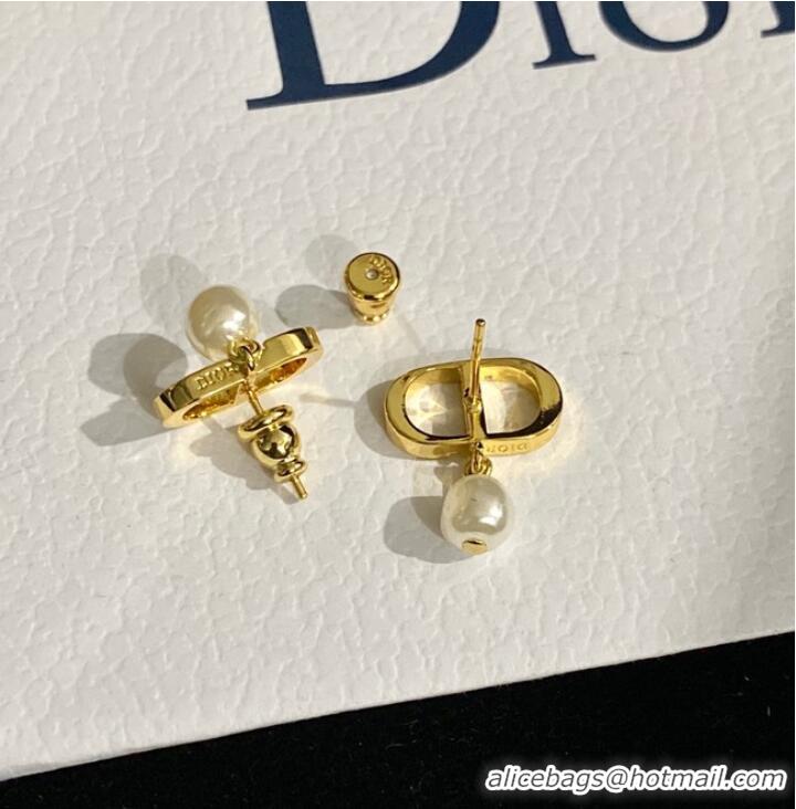 Spot Bulk Classic Dior Earrings CE9120