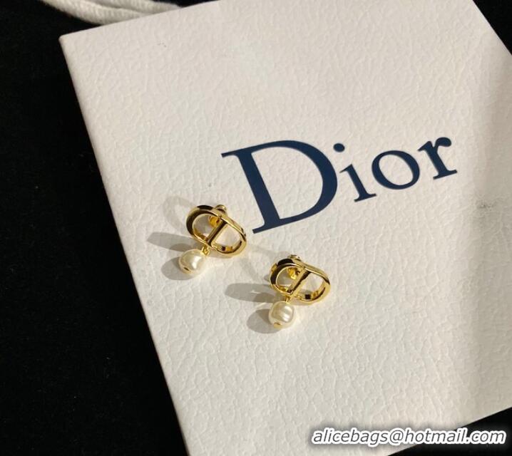 Spot Bulk Classic Dior Earrings CE9120