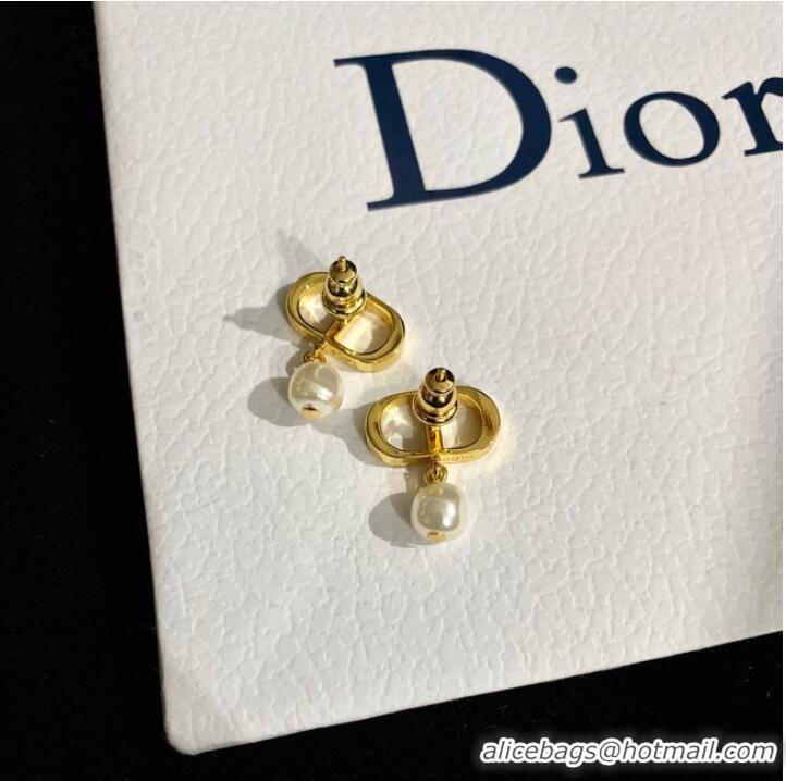 Spot Bulk Classic Dior Earrings CE9120