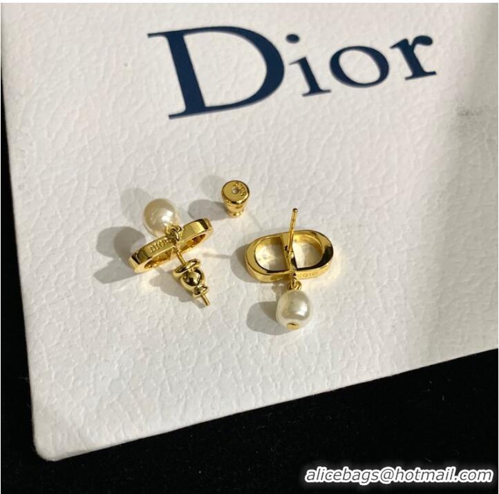 Spot Bulk Classic Dior Earrings CE9120