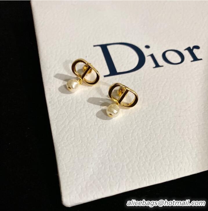 Spot Bulk Classic Dior Earrings CE9120