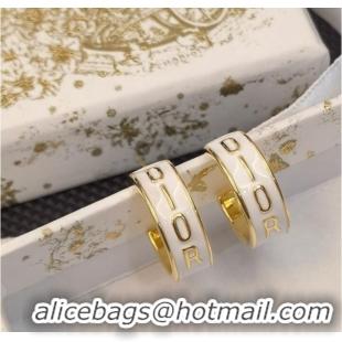 Grade Quality Dior Earrings CE9153