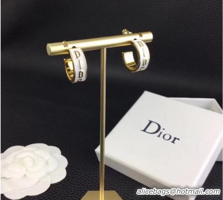 Grade Quality Dior Earrings CE9153