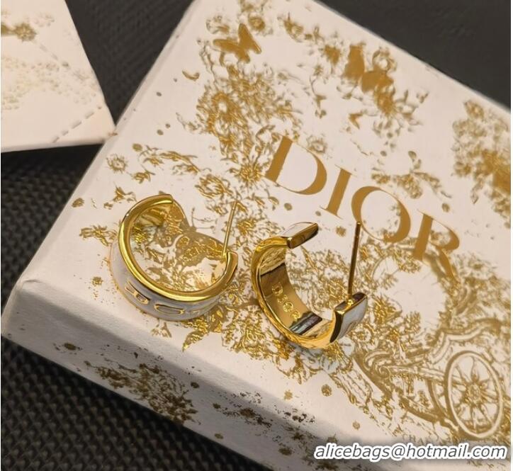 Grade Quality Dior Earrings CE9153