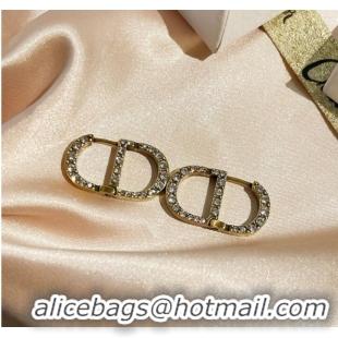 New Fashion Cheap Dior Earrings CE9255