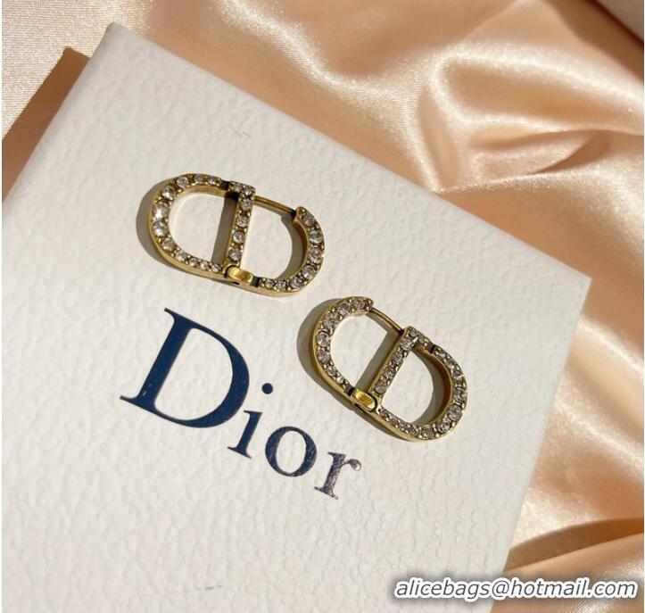 New Fashion Cheap Dior Earrings CE9255