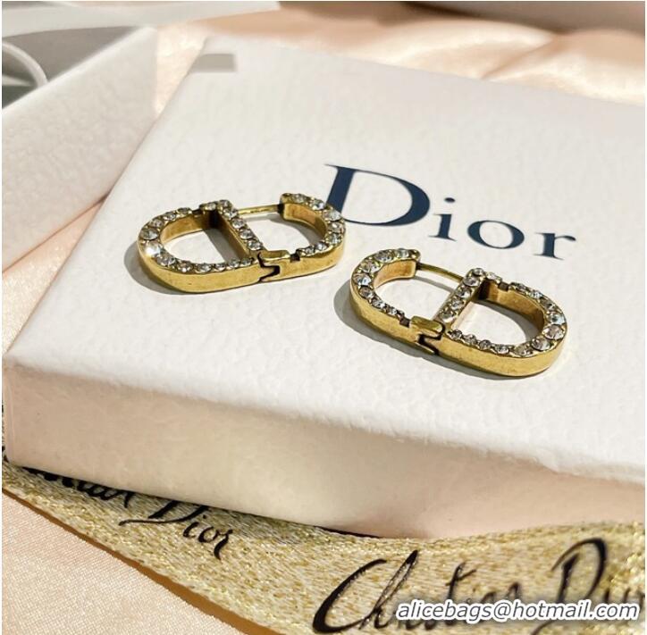 New Fashion Cheap Dior Earrings CE9255