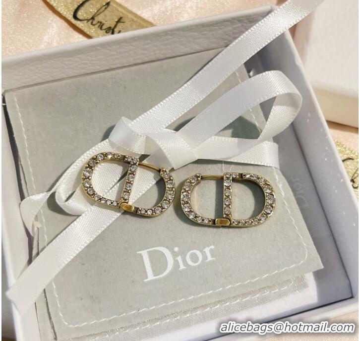 New Fashion Cheap Dior Earrings CE9255