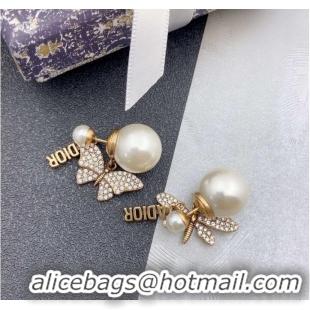 Famous Brand Dior Earrings CE9258