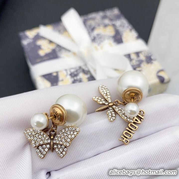 Famous Brand Dior Earrings CE9258