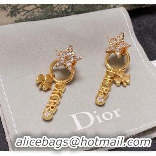 Top Design Dior Earrings CE9277