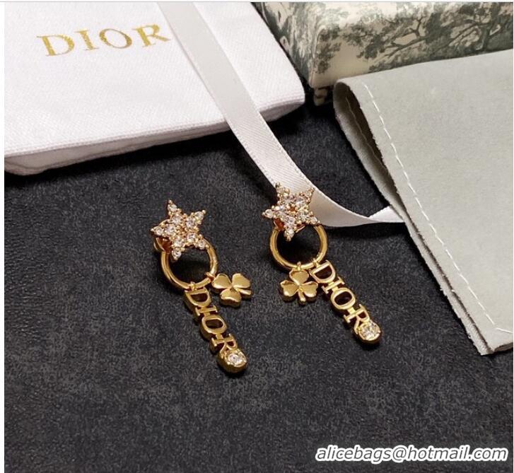 Top Design Dior Earrings CE9277