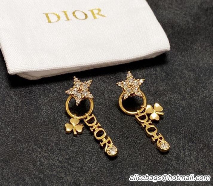 Top Design Dior Earrings CE9277