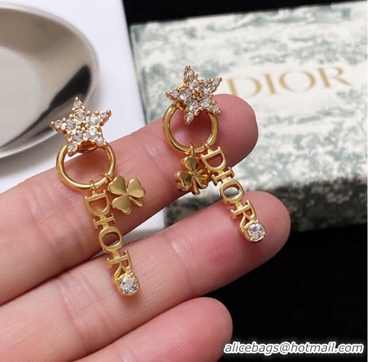 Top Design Dior Earrings CE9277