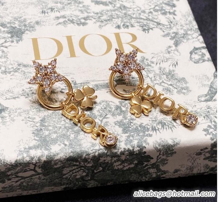 Top Design Dior Earrings CE9277