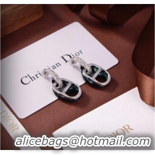 Sumptuous Discount Dior Earrings CE9309