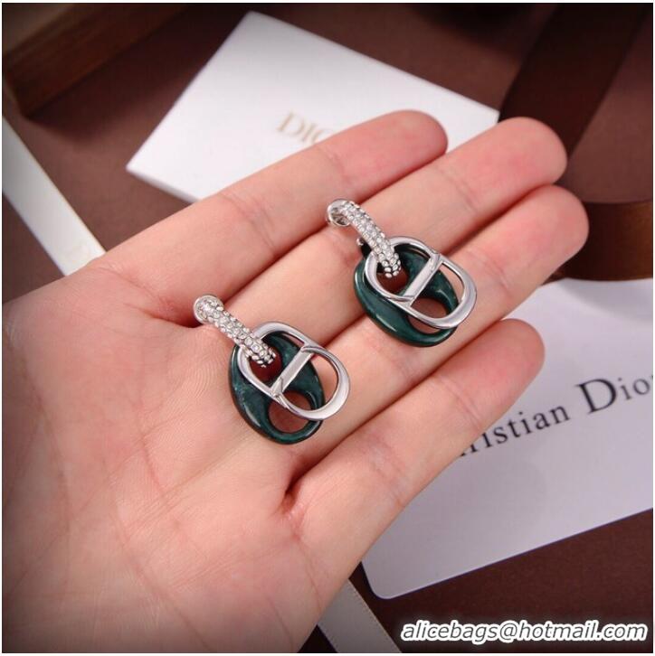 Sumptuous Discount Dior Earrings CE9309