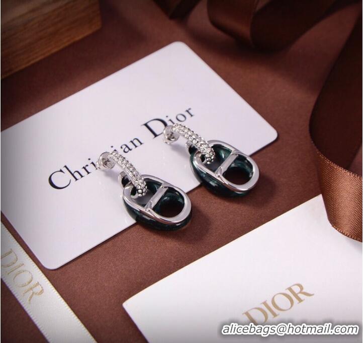 Sumptuous Discount Dior Earrings CE9309