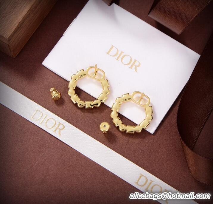 Famous Brand Dior Earrings CE9310