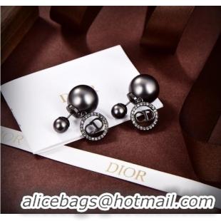 New Release Creation Dior Earrings CE9311