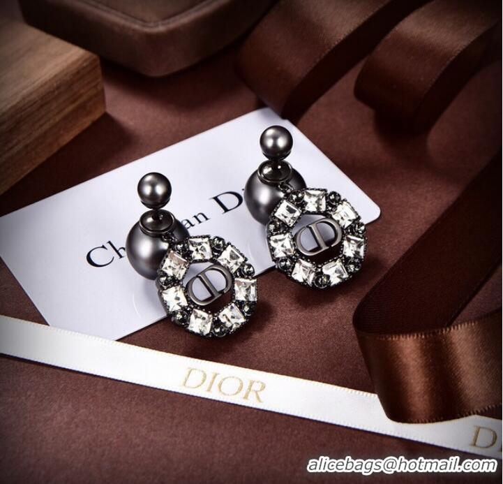 Classic Specials Dior Earrings CE9312