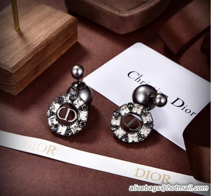 Classic Specials Dior Earrings CE9312