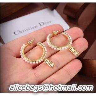 Trendy Design Dior Earrings CE9313