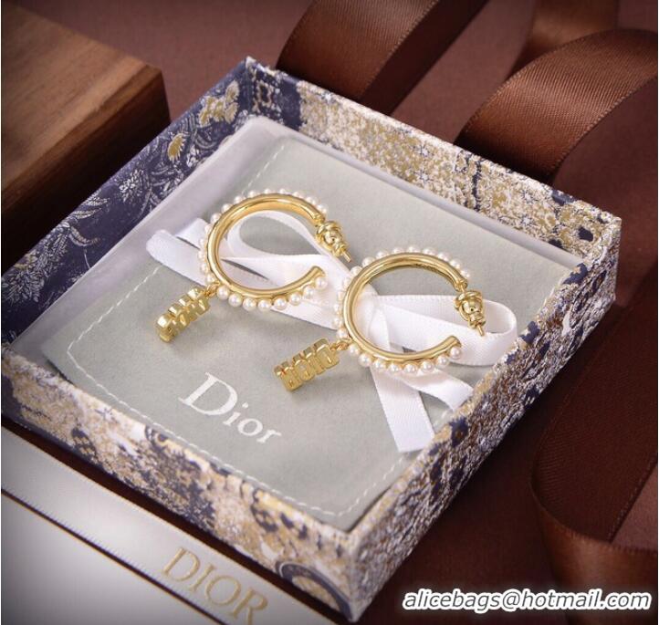 Trendy Design Dior Earrings CE9313