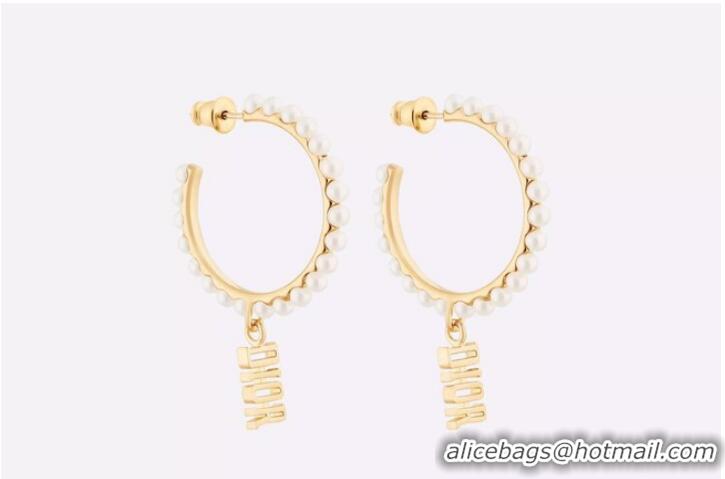 Trendy Design Dior Earrings CE9313