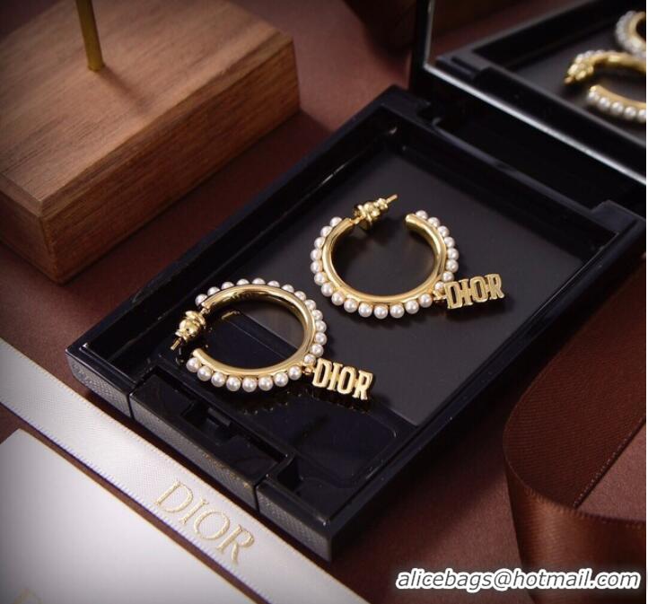 Trendy Design Dior Earrings CE9313