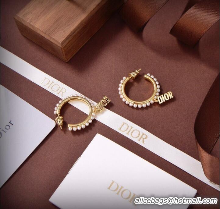 Trendy Design Dior Earrings CE9313