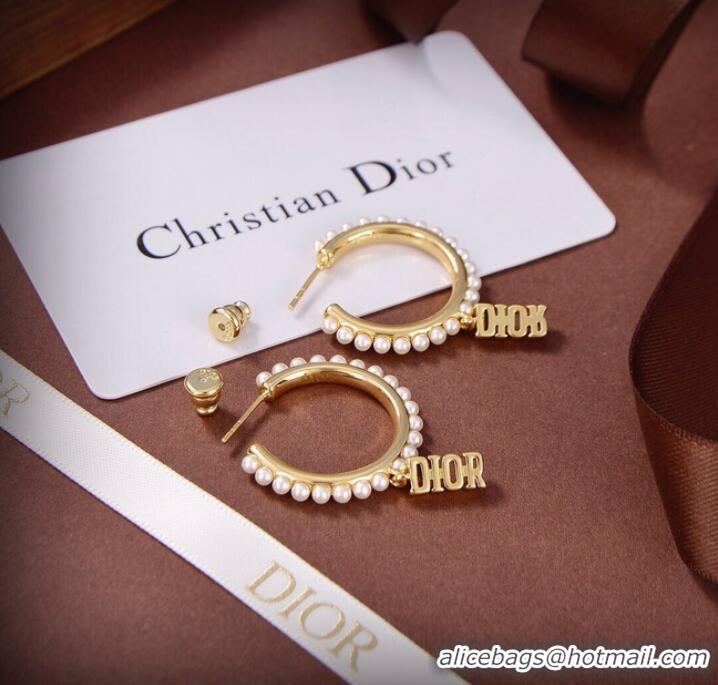 Trendy Design Dior Earrings CE9313