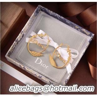 Modern Classic Design Dior Earrings CE9315