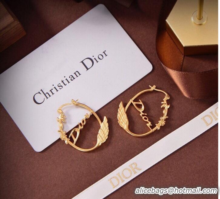 Modern Classic Design Dior Earrings CE9315