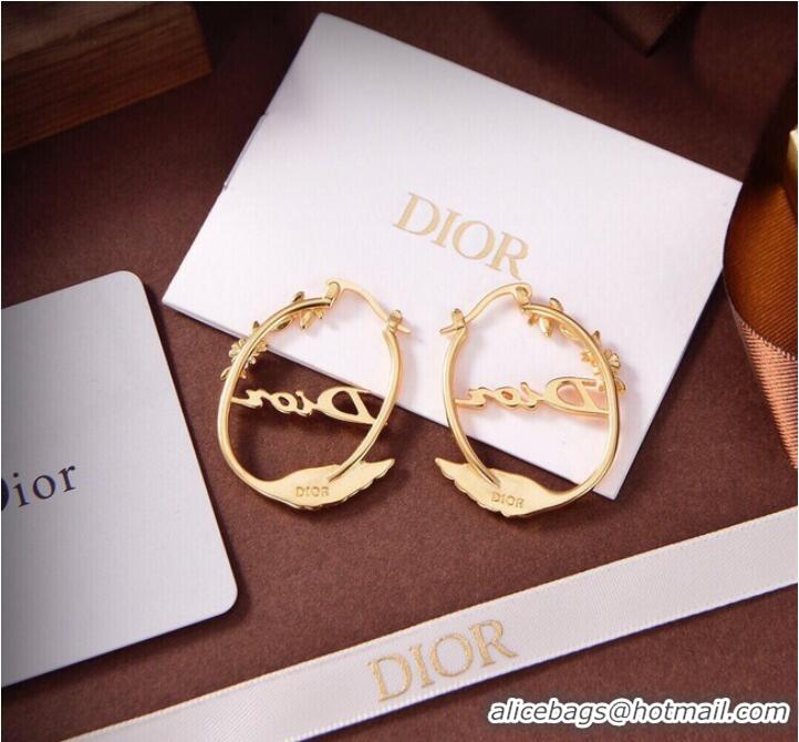 Modern Classic Design Dior Earrings CE9315