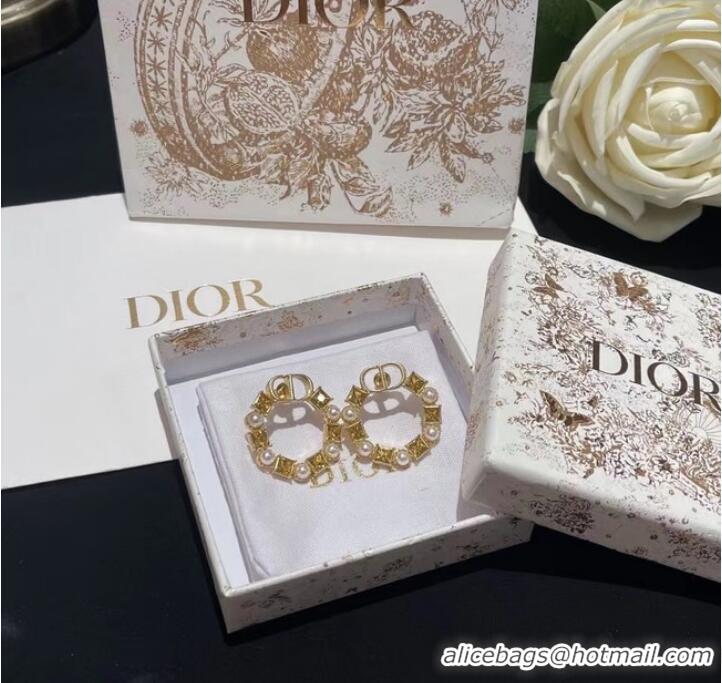 Cheap Price Dior Earrings CE9384