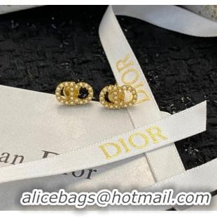 High Quality Fashion Dior Earrings CE9404