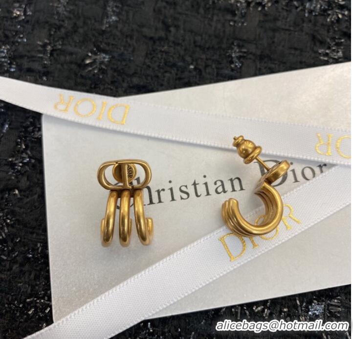 Spot Bulk Dior Earrings CE9407