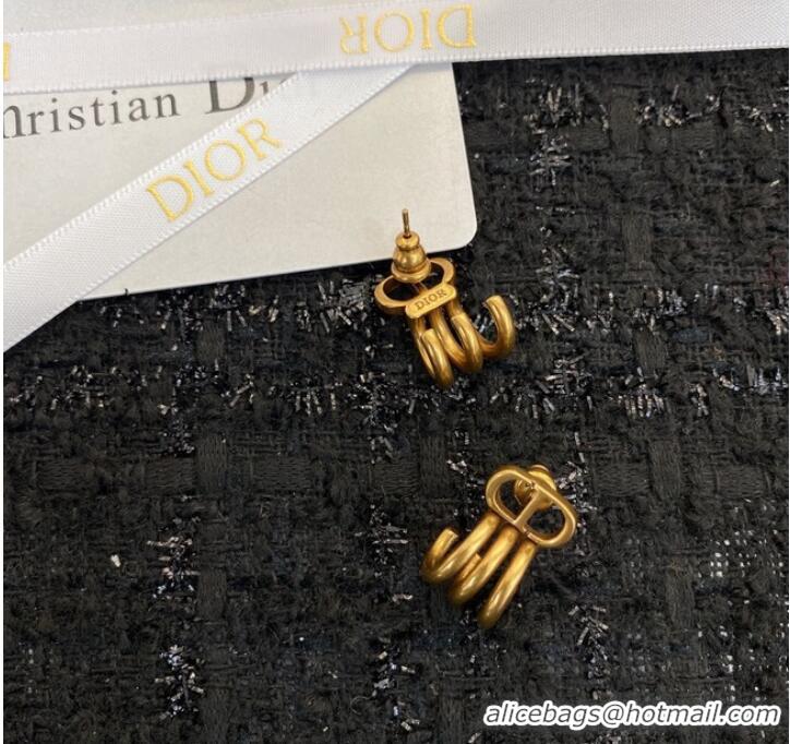 Spot Bulk Dior Earrings CE9407