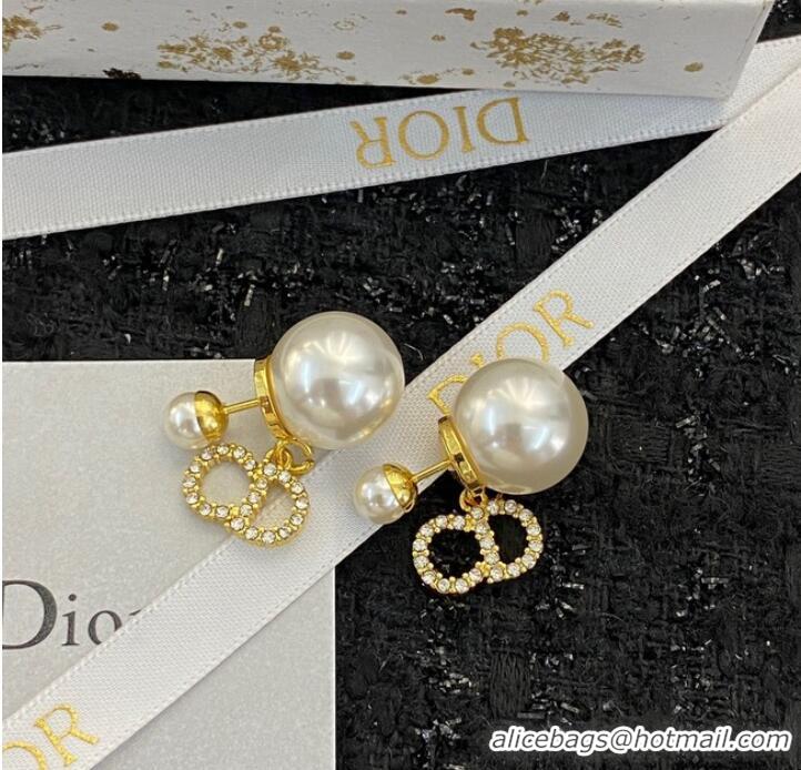 Purchase Duplicate Dior Earrings CE9410